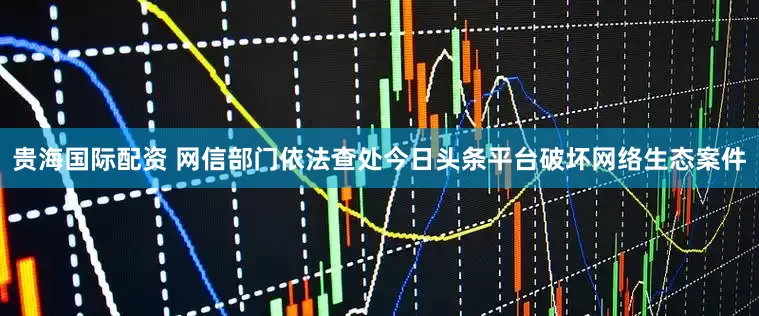 贵海国际配资 网信部门依法查处今日头条平台破坏网络生态案件